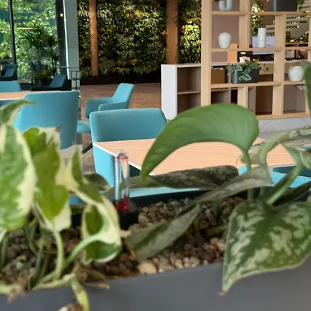 Hotel Alibaba - Congress & 4*